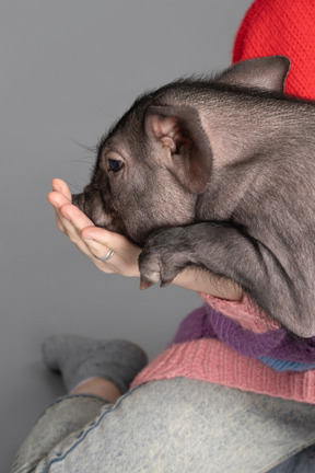 Una mujer alimentando a un pequeño cerdo mascota con sus manos