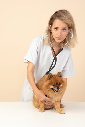 Attractive veterenarian examining a spitz