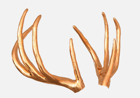 Golden antlers