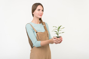 Cuidar estas plantas es cuidar el planeta