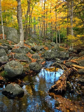 Nature