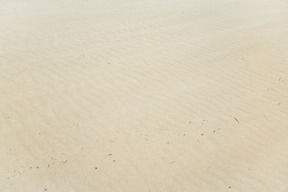 Parece um deserto de areia