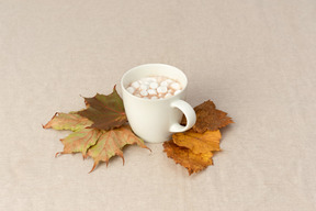 Autumn means cacao with marshmallows