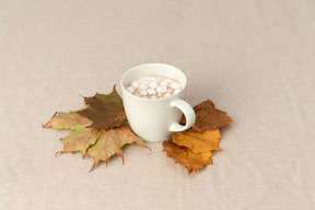 Herbst bedeutet kakao mit marshmallows