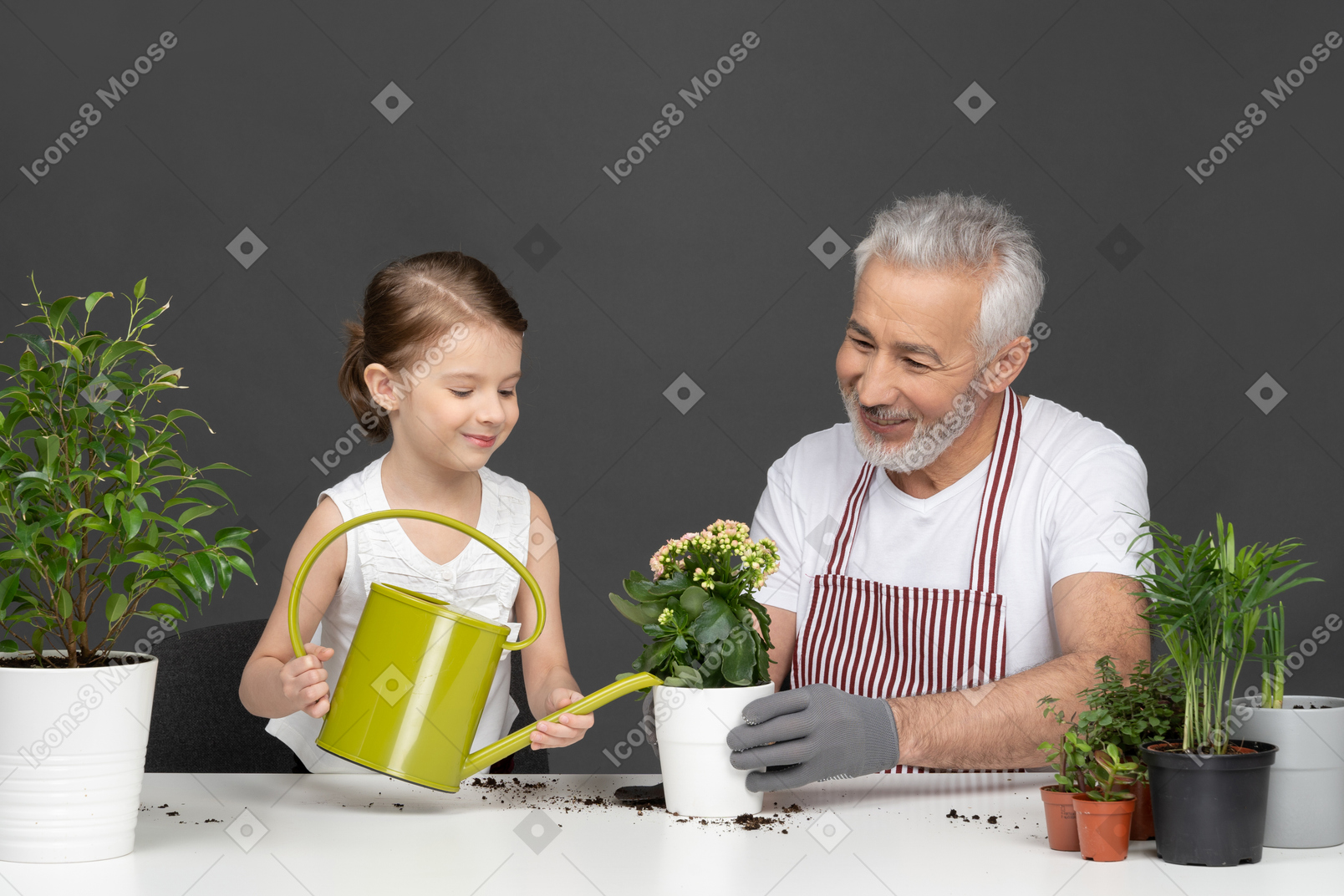 Маленькая девочка поливает растение