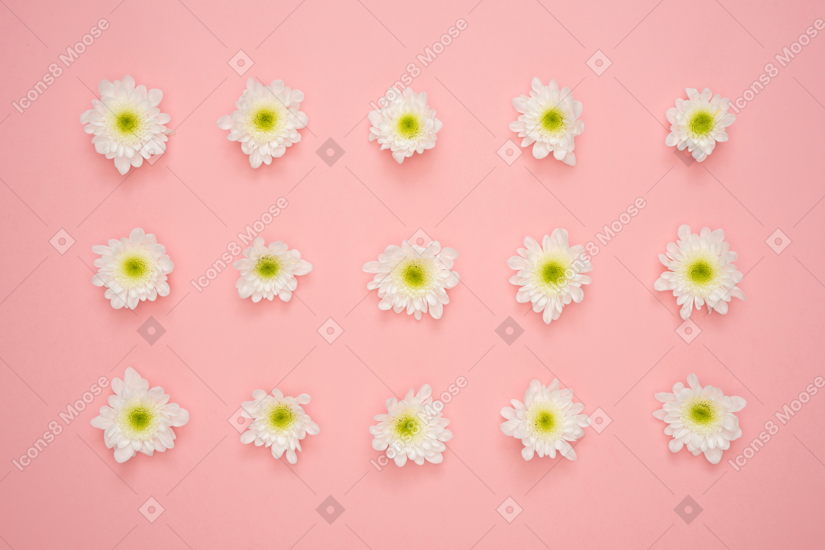 Flower heads