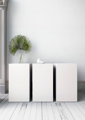 Stands with a shoe and a vase on display in a white room