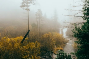 Naturaleza