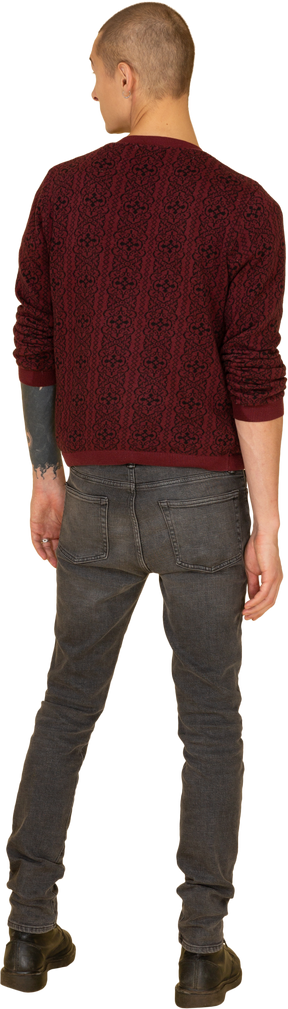Back view of a young man in a red sweater looking aside