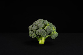 Single broccoli in black background