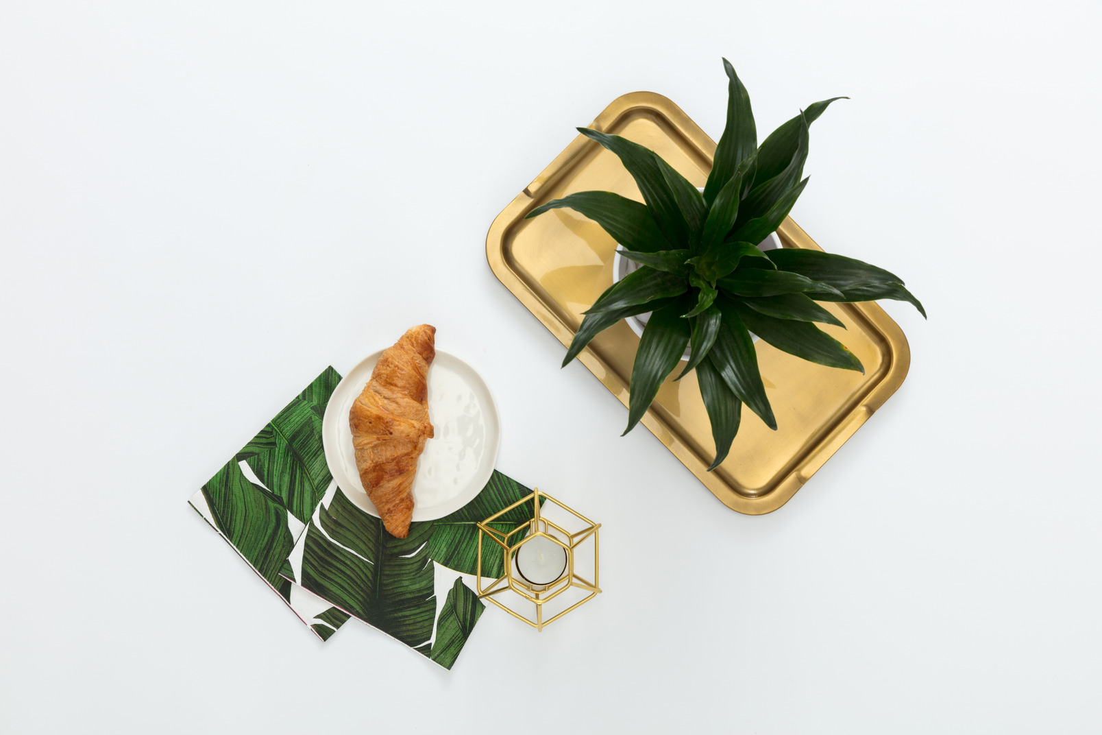 Dracaena plant on golden tray