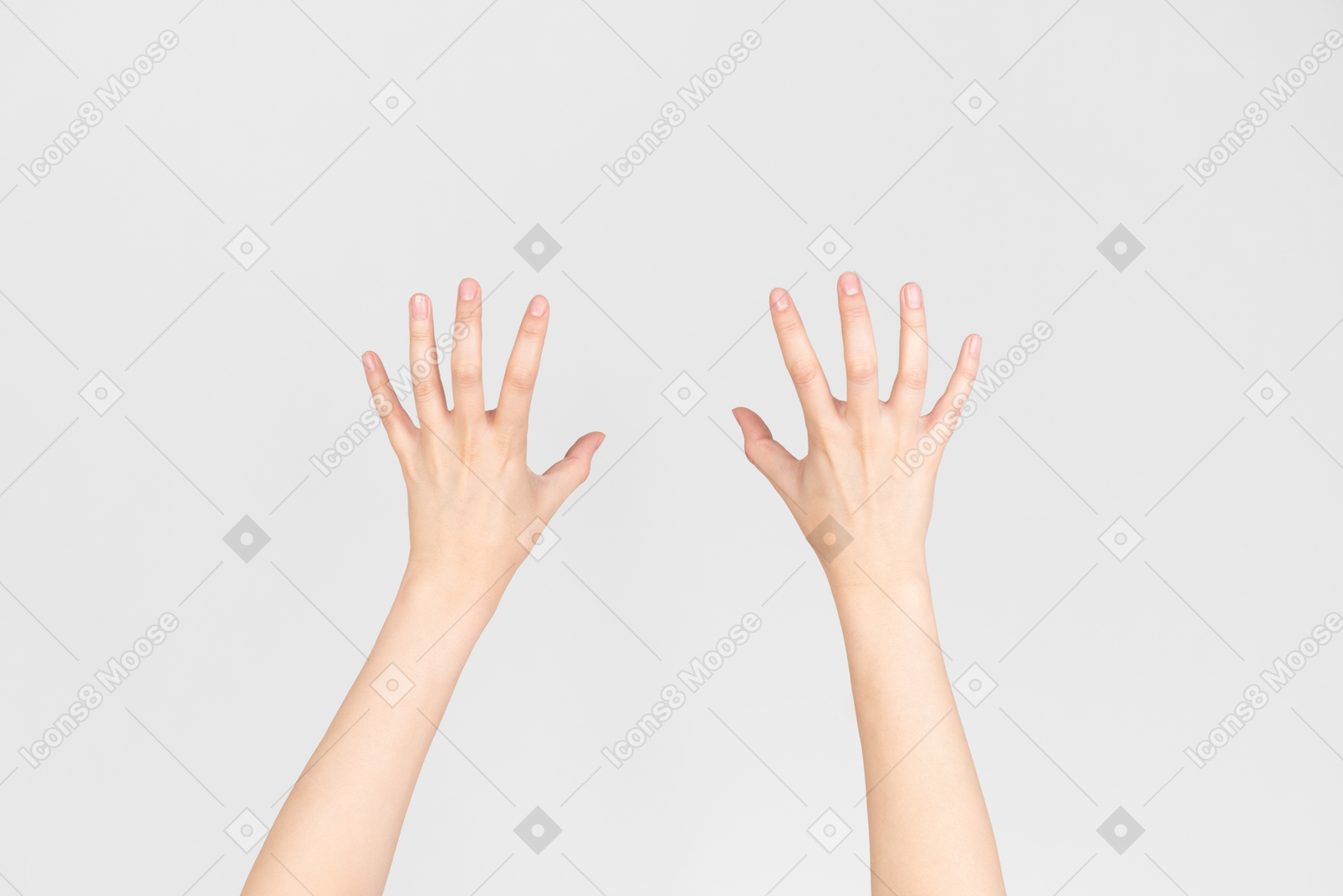 위에서 표시된 여성 손