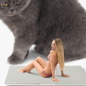 A woman in a bikini sitting on a laptop with a cat behind her