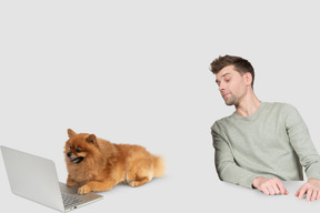 Man looking at dog using a laptop