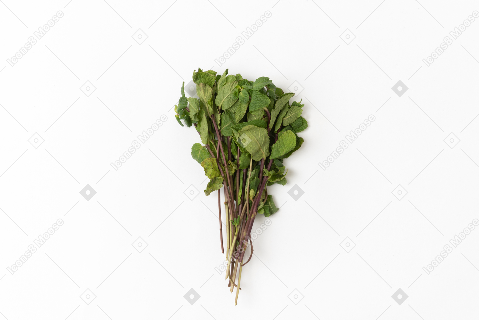 Bunch of mint on white background