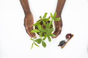 Mãos masculinas pretas segurando um vaso de plantas