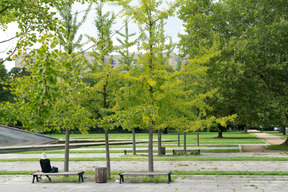 Sacs laissés sur un banc dans un parc de la ville