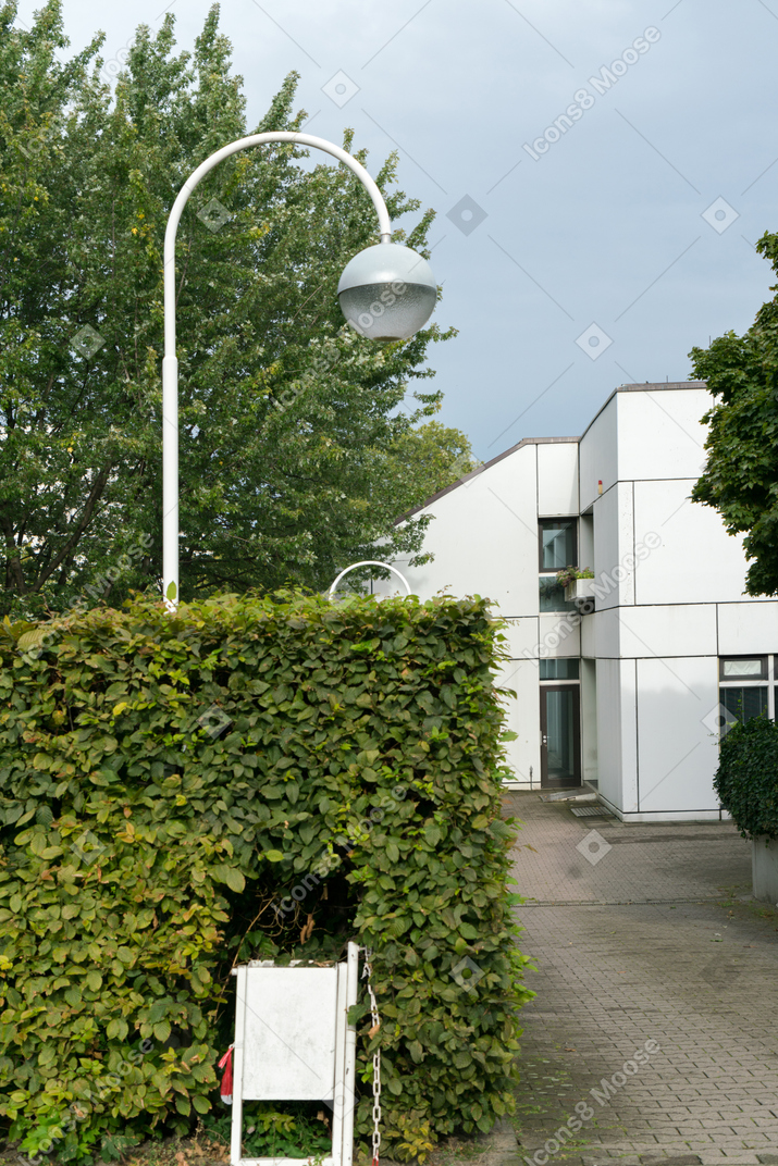 House and bushes near it background