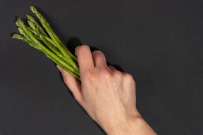 A handful of fresh asparagus