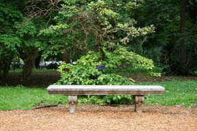 Bench in the garden is just a perfect place