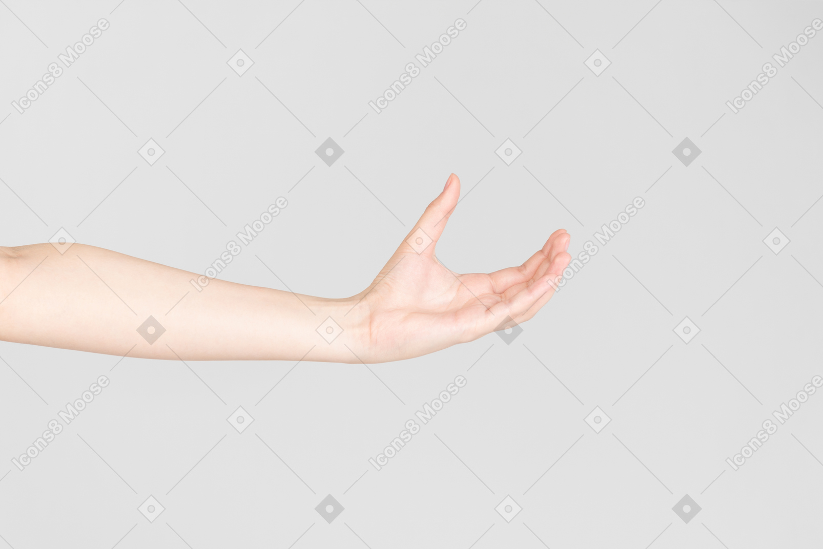 Seitenblick der weiblichen hand mit der offenen hand