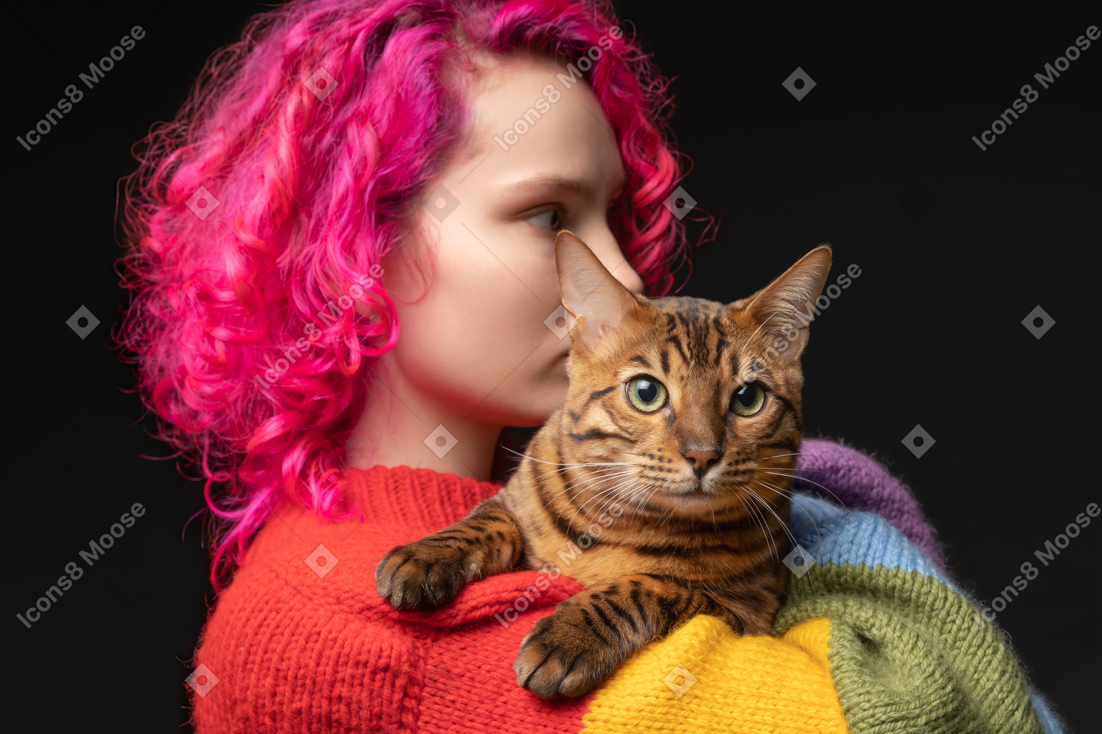 A bengal cat on the shoulder of its owner