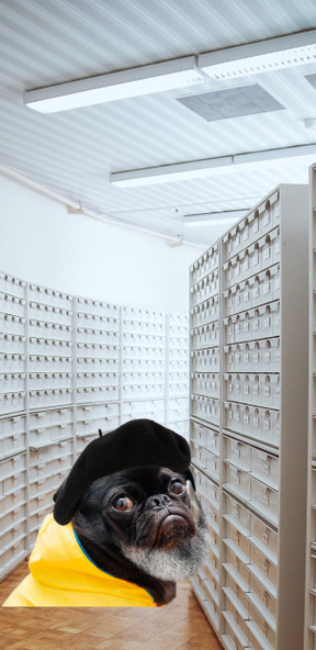 A pug dog wearing a hat in a room full of mail boxes