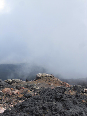 霧の風景