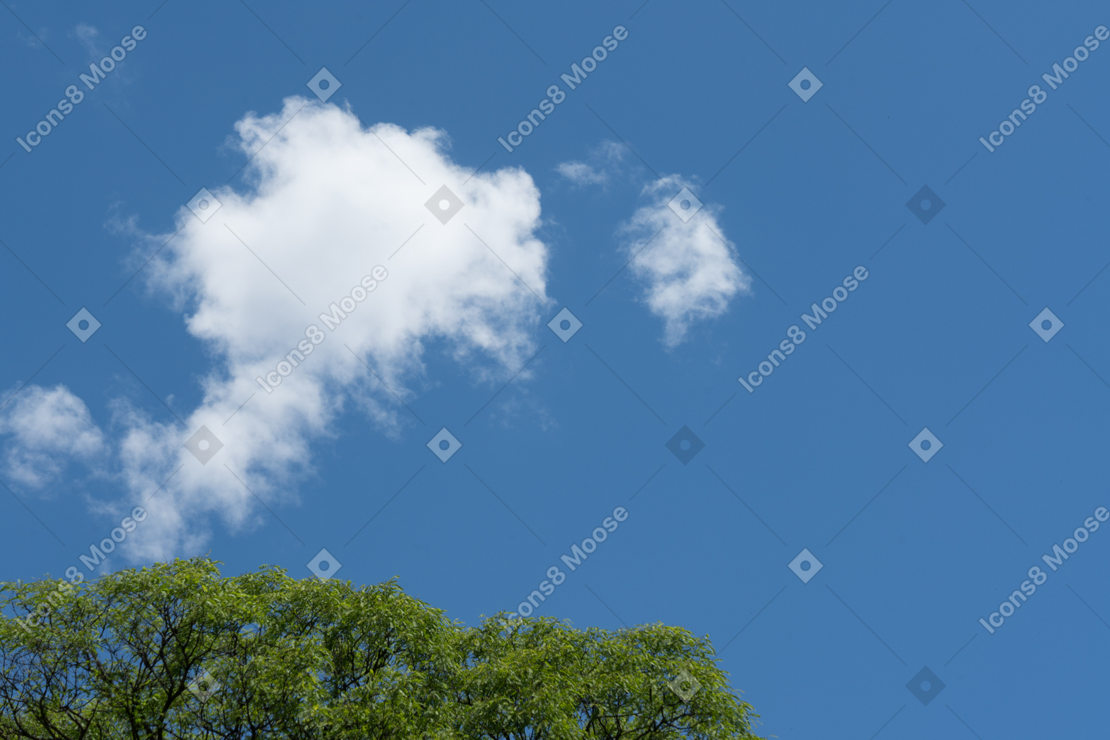 Céu azul com nuvens e árvores