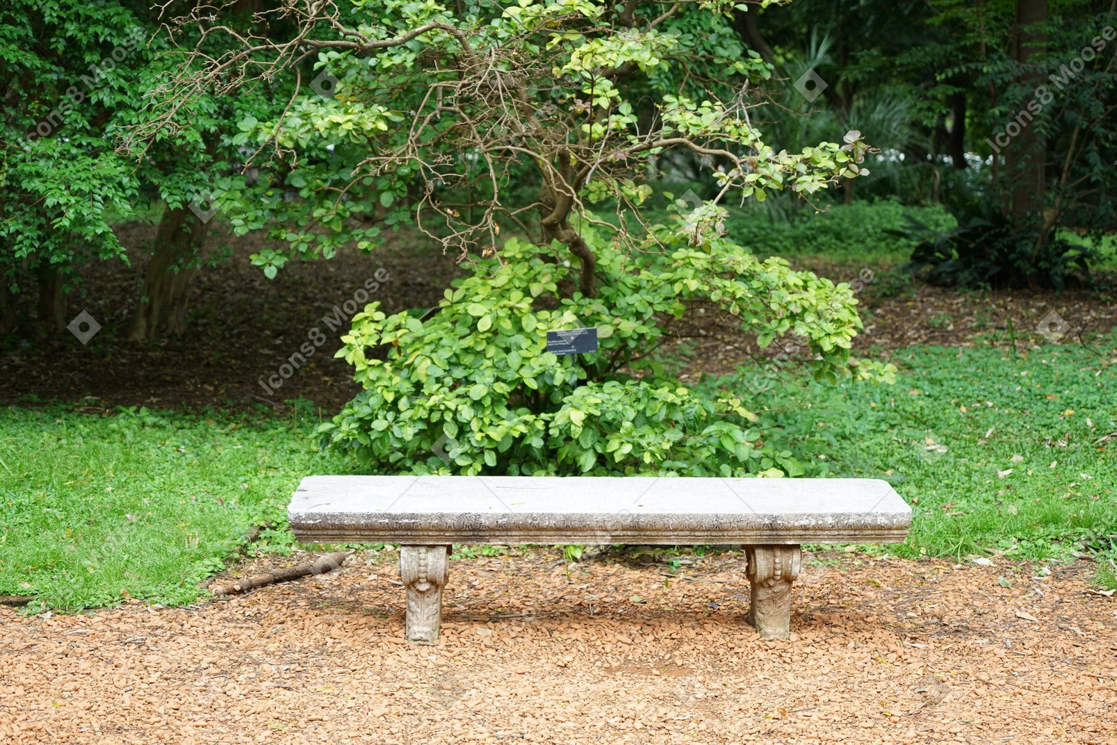A bench in the garden