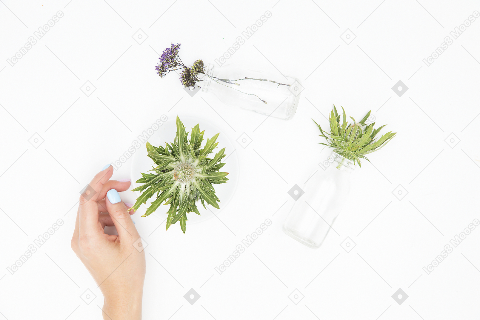 Mão feminina ao lado dos diferentes objetos de vidro e plantas verdes