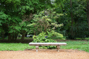 Banco en el jardín es simplemente un lugar perfecto