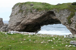 Naturaleza