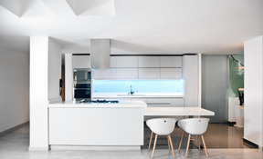 A modern kitchen in white and grey colours with the minimum of things and a few big plants in pots in the corner