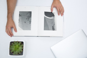 Notebook, open photo album and succulent in a pot