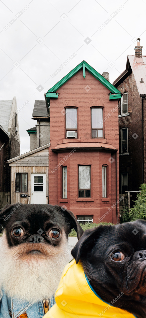 Person and his dog in front of a house