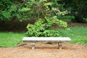 Banc dans le jardin est juste un endroit parfait