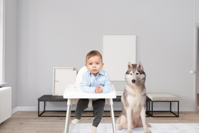Baby and dog in a living room