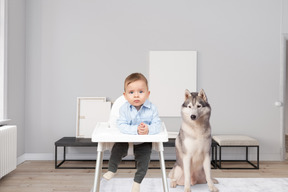 Bébé et chien dans un salon