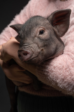 Joven mujer sosteniendo un cerdo en miniatura