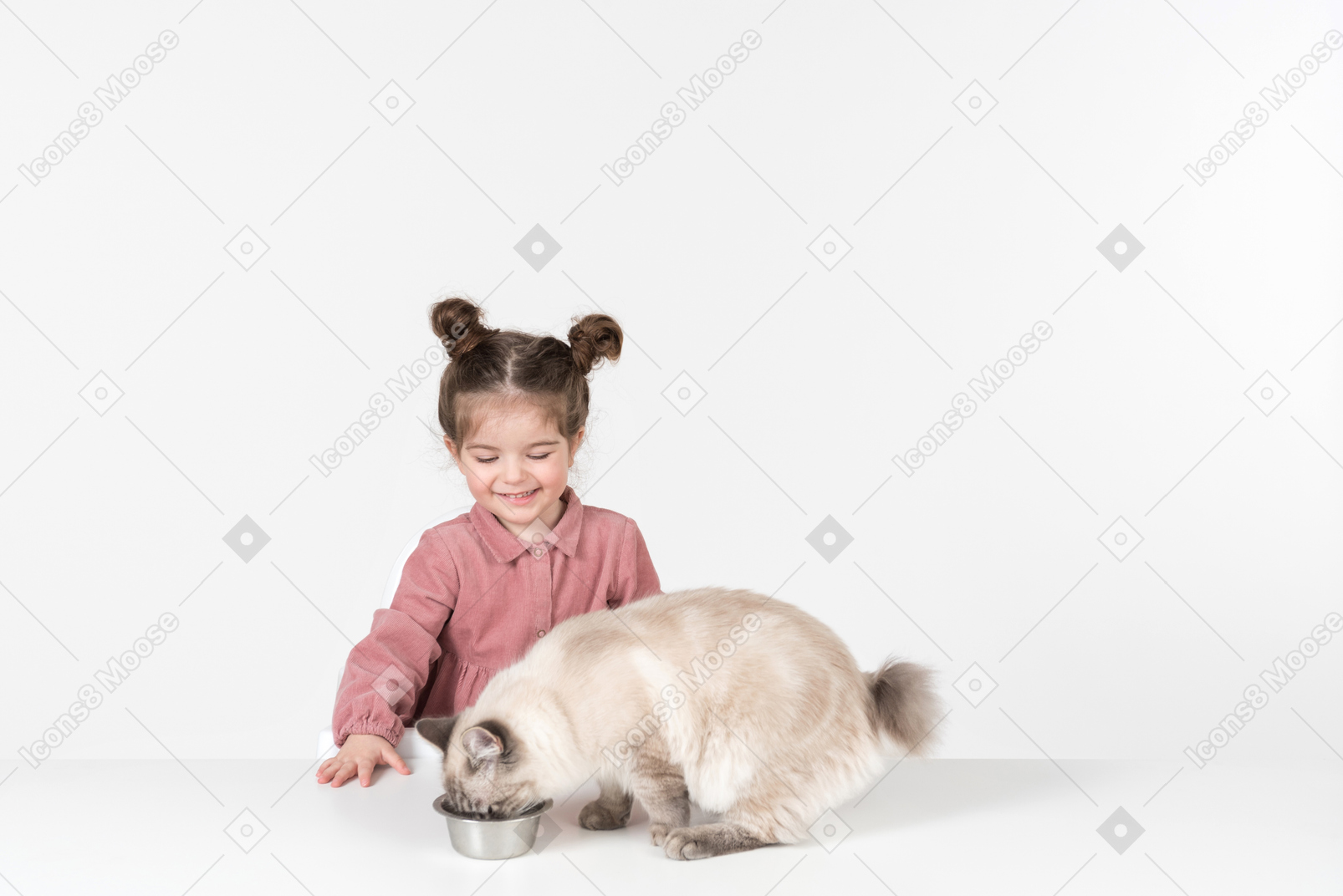 Little kid girl feeding the cat
