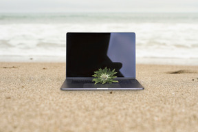 Blogging in spiaggia