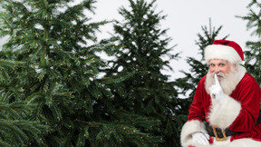 A man dressed as santa clause sitting among fir trees
