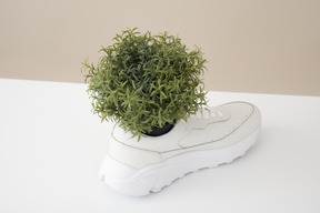 Blume in herren turnschuhen