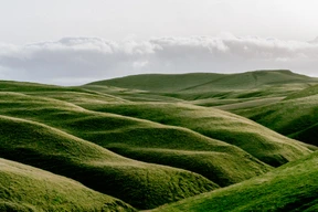 Naturaleza