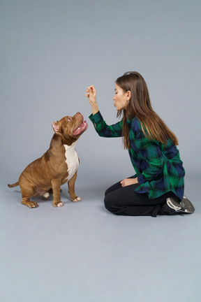 In voller länge einer frau, die mit ihrer braunen bulldogge sitzt und spielt