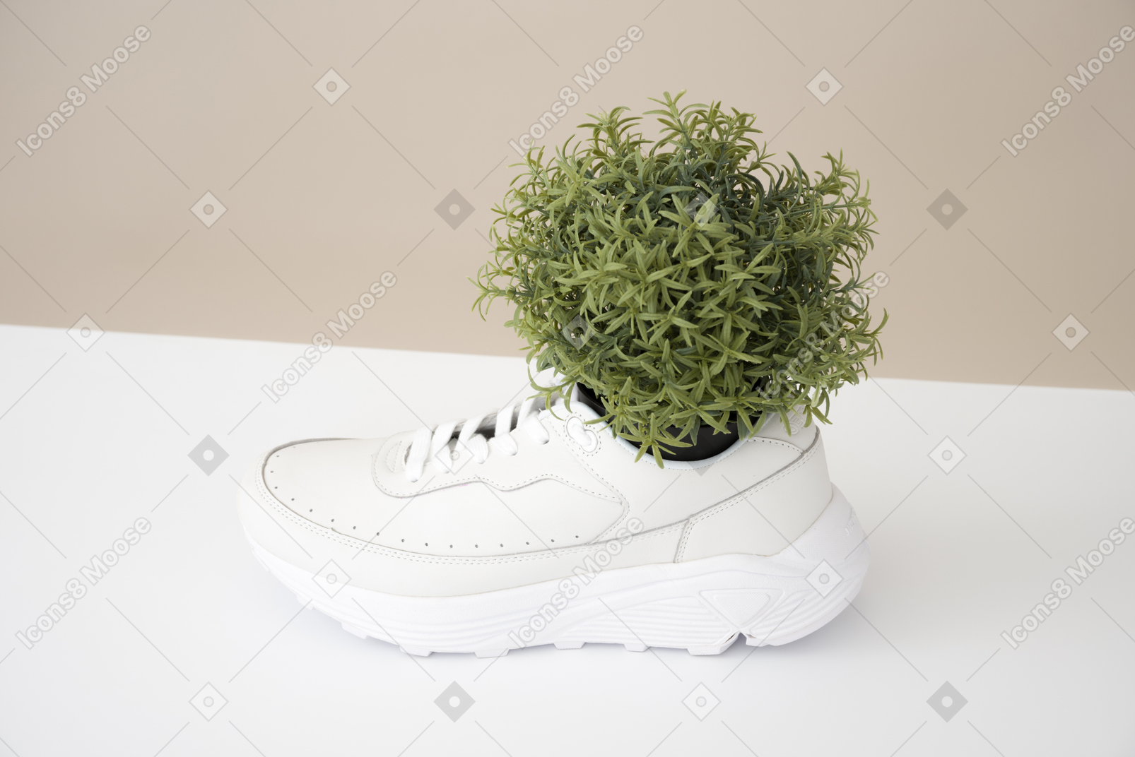 Flower inside men's sneakers