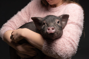 Joven mujer sosteniendo un cerdo en miniatura