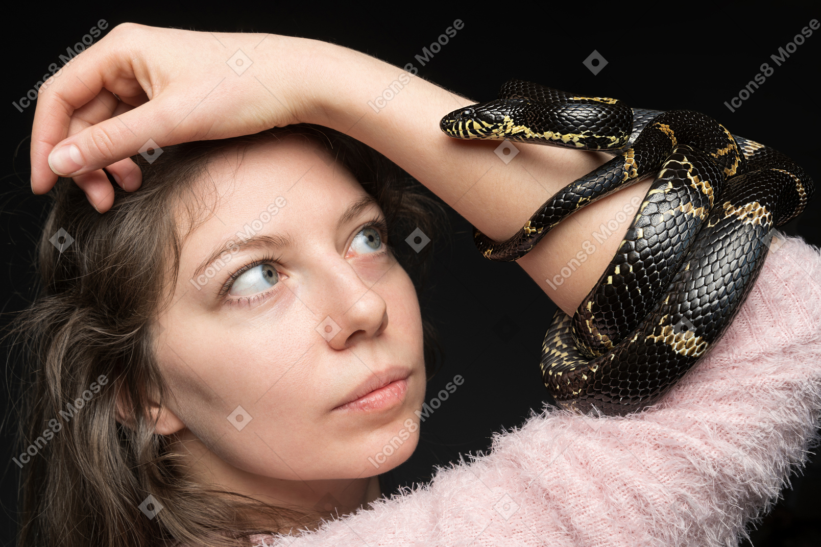 Serpiente negra a rayas que se curva alrededor de la mano de la mujer