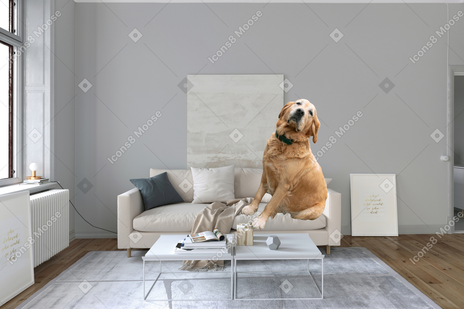 A dog sitting on top of a couch in a living room